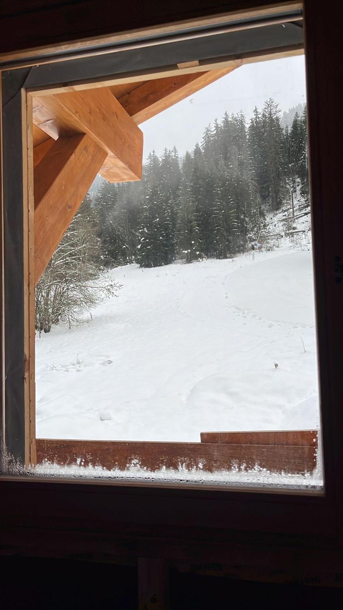 La Rose Des Neiges A Châtel Esterno foto