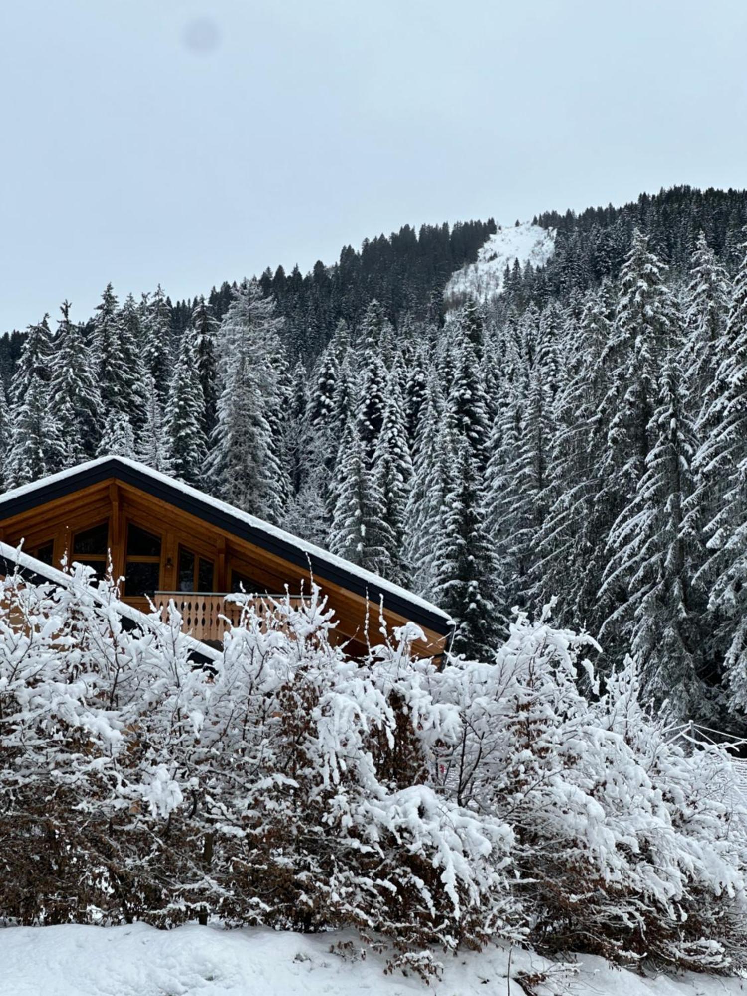 La Rose Des Neiges A Châtel Esterno foto